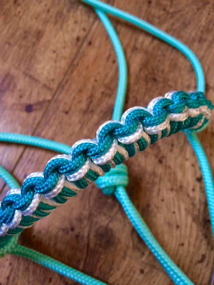 Licol CLASSIC tressé wave