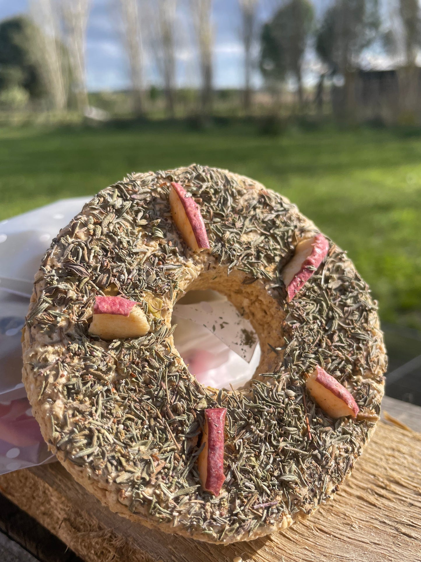 Donutbio