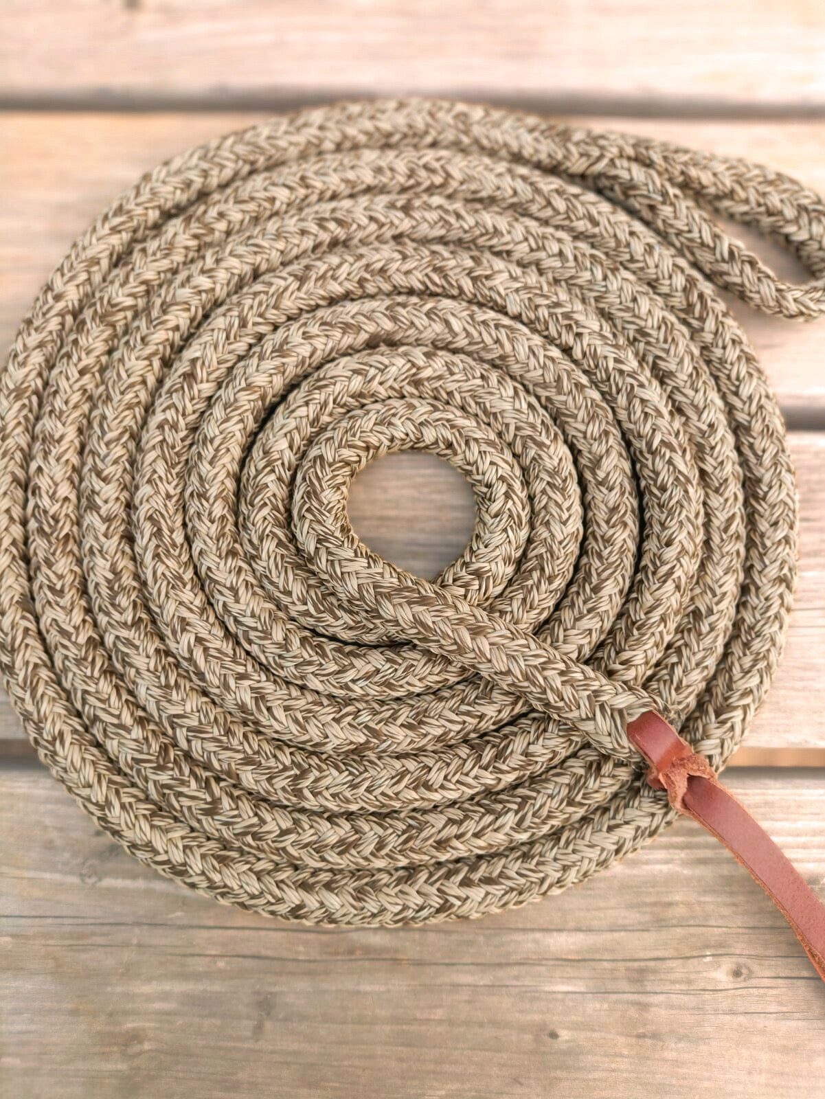 Pack NOËL licol & longe LPH